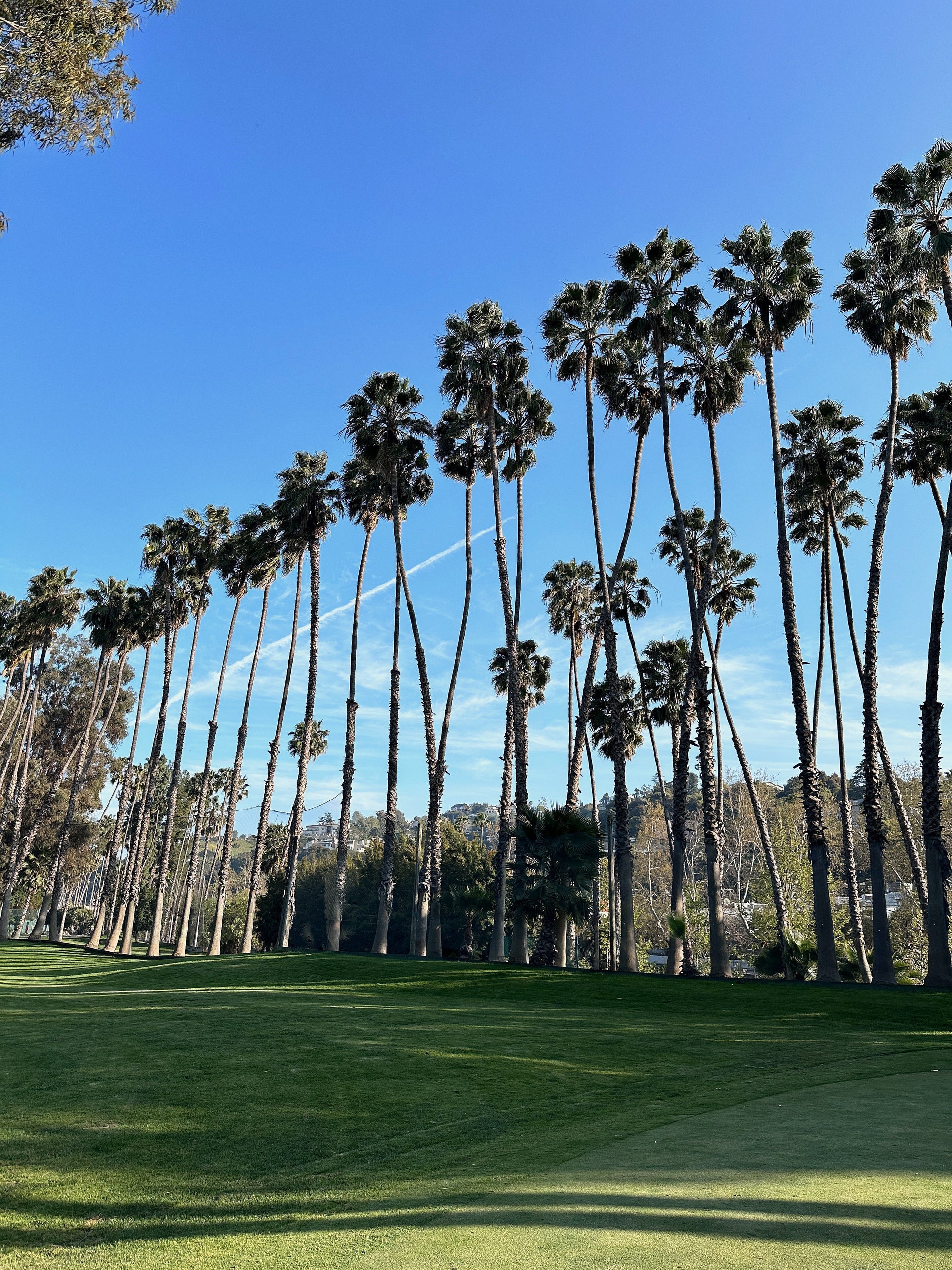 What to Wear Golfing in Los Angeles