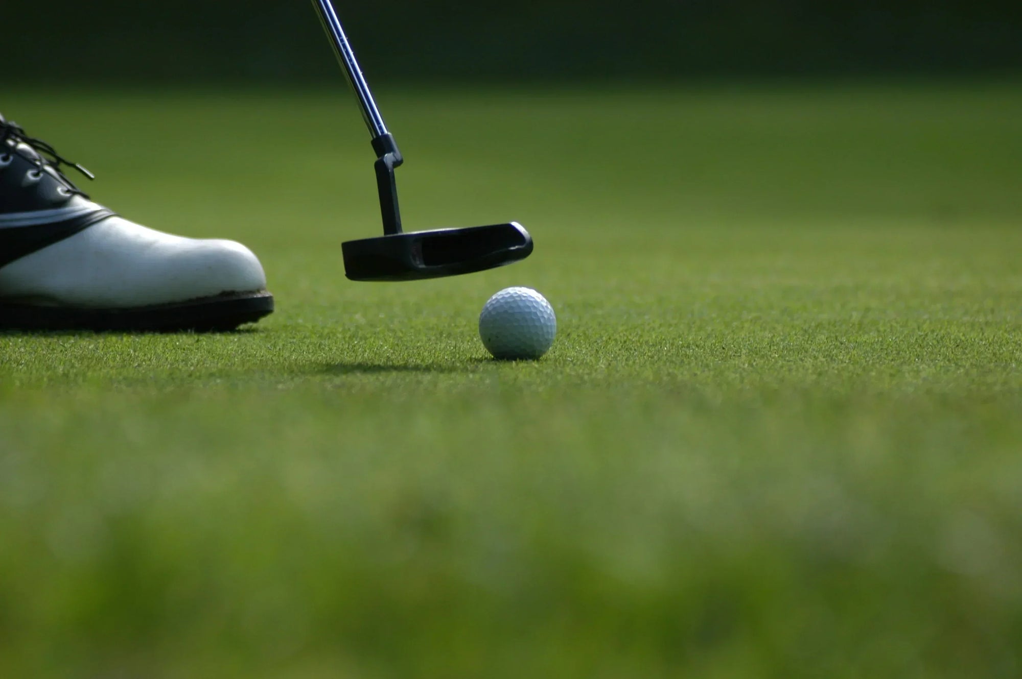 The Greyson Edit: Finding the "High-Performance" Aesthetic via Cellty and Master Bunny Edition - Erthe Golf