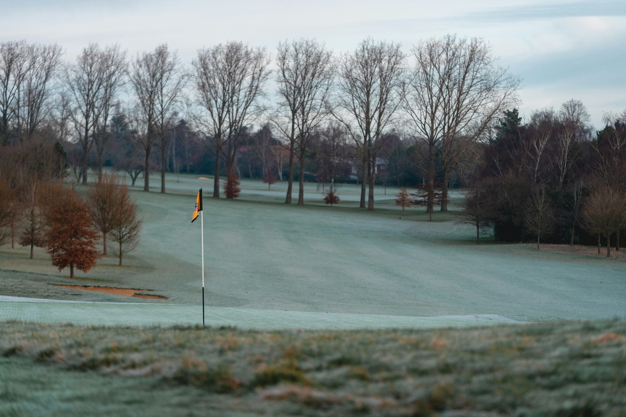 winter golf