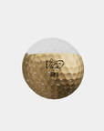 Vice Golf Ball - Pro(st) Beer - Erthe Golf