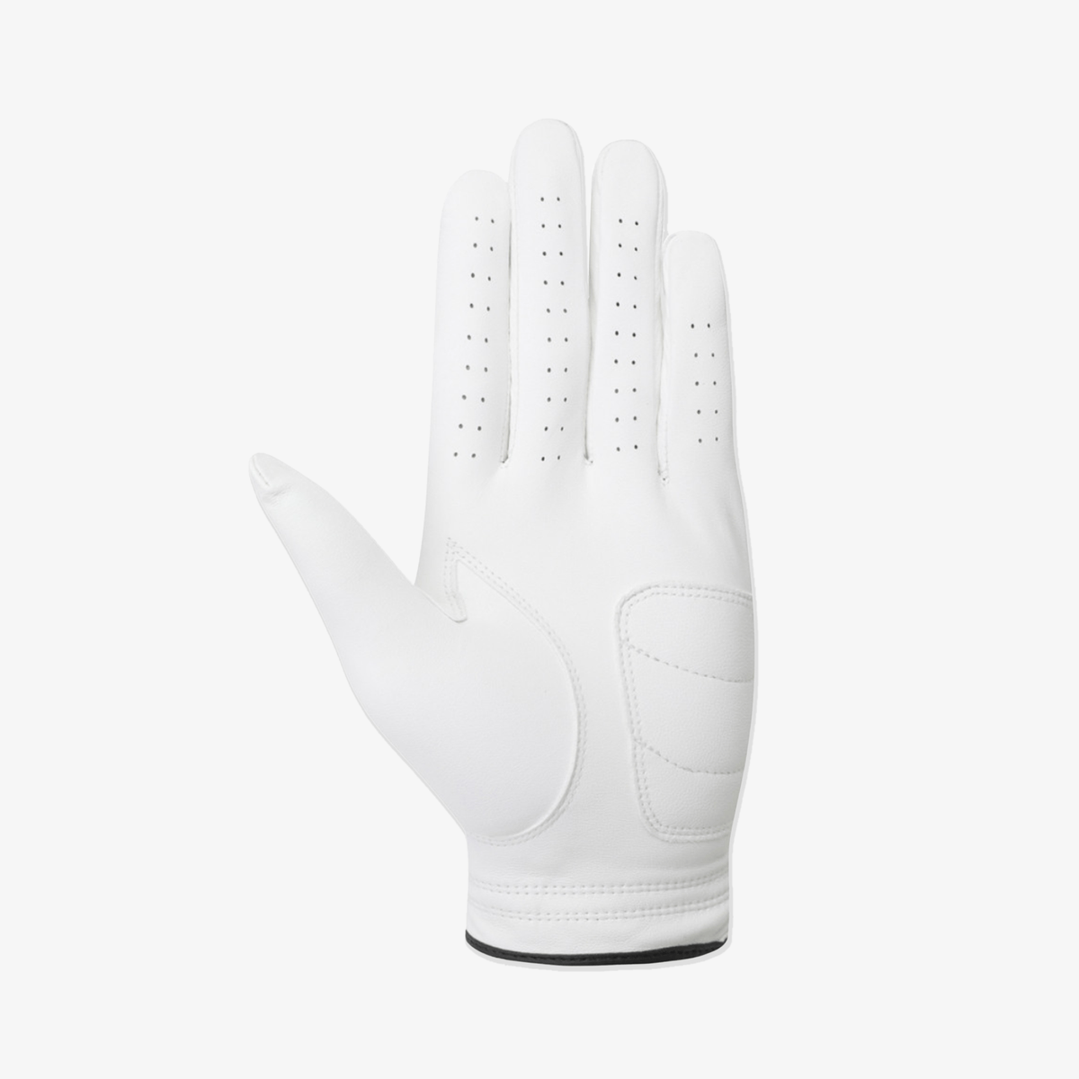 Golden Bear GOLF Gloves - Erthe Golf
