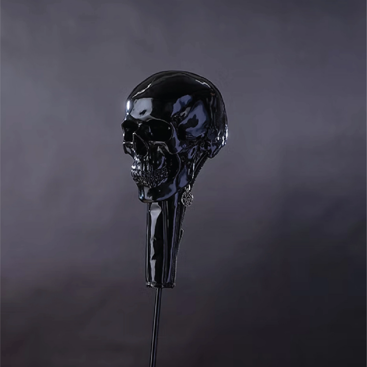 A glossy black skull-shaped object mounted on a long black stem, photographed against a dark smoky gray background.