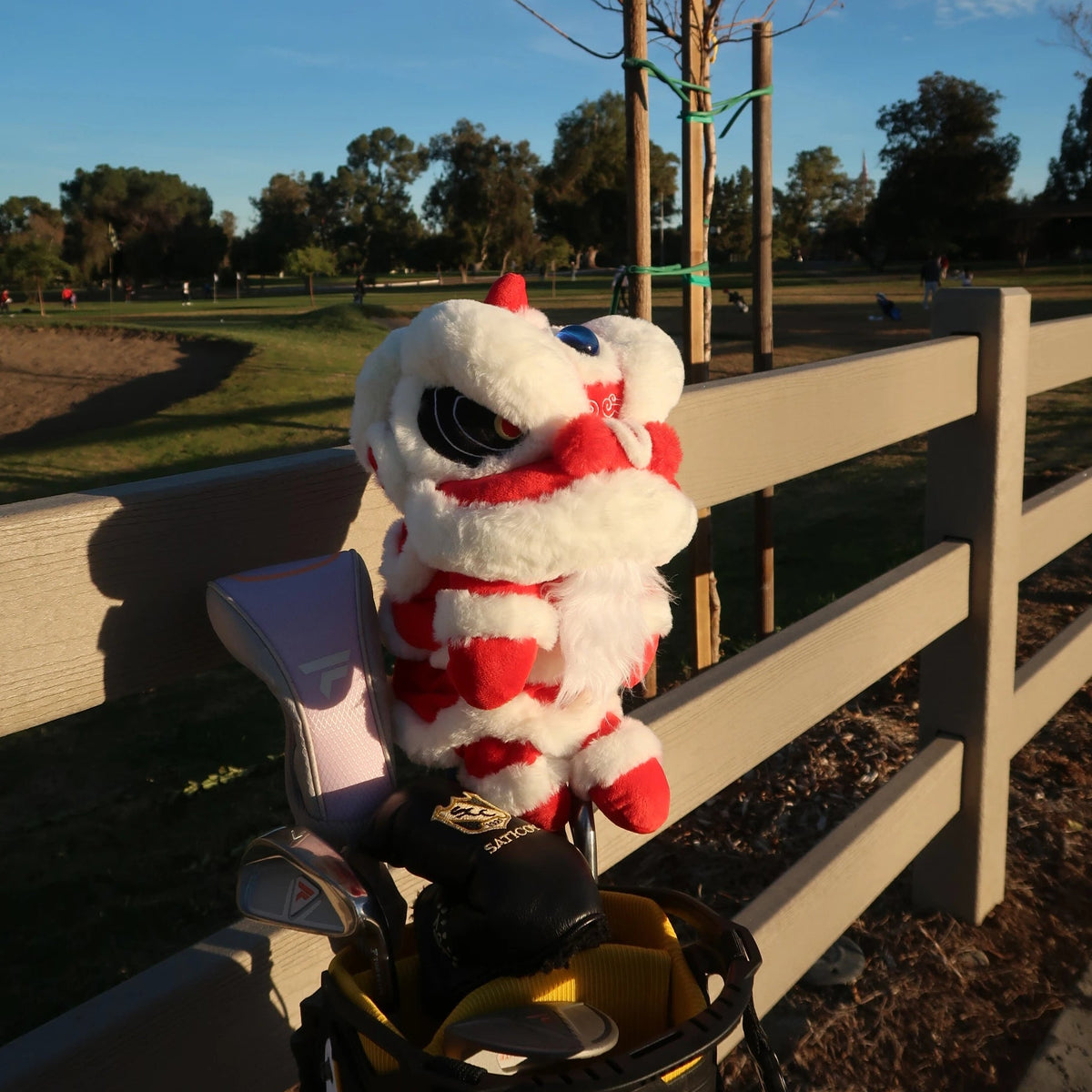 Lion Dance Driver Cover