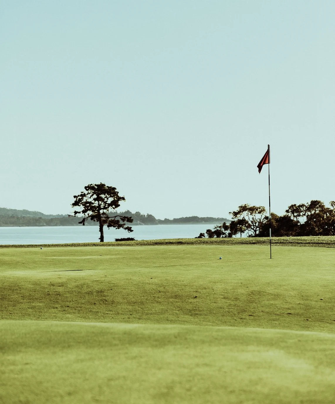 Golf course with a flag and tree on a clear day