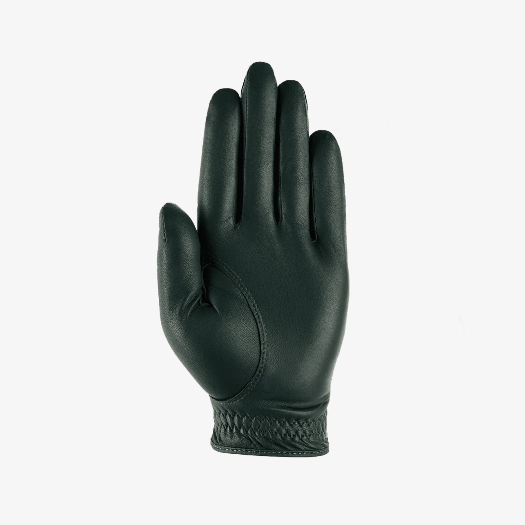 Left Hand Glove - Green - Erthe Golf