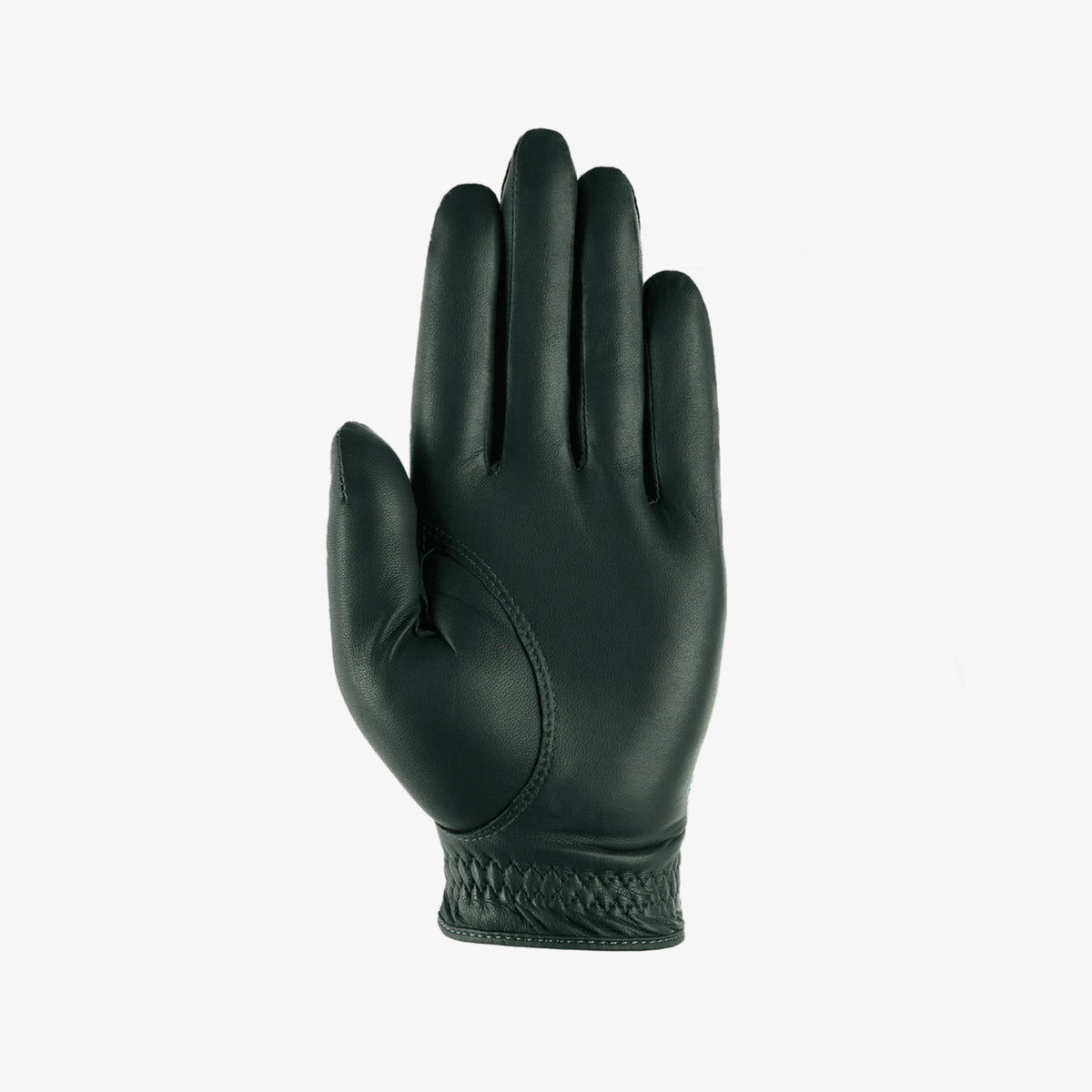 Left Hand Glove - Green - Erthe Golf